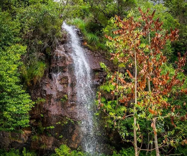 Farm stay Casa Do Silverio - *